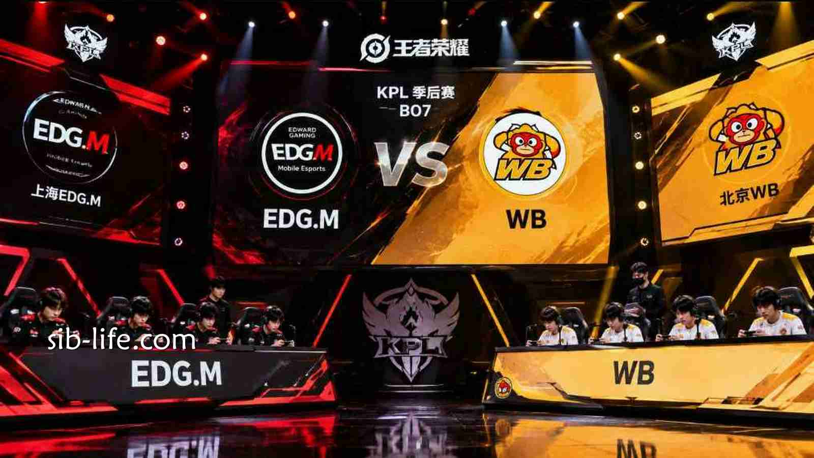 开云体育 | EDG.M vs WB
