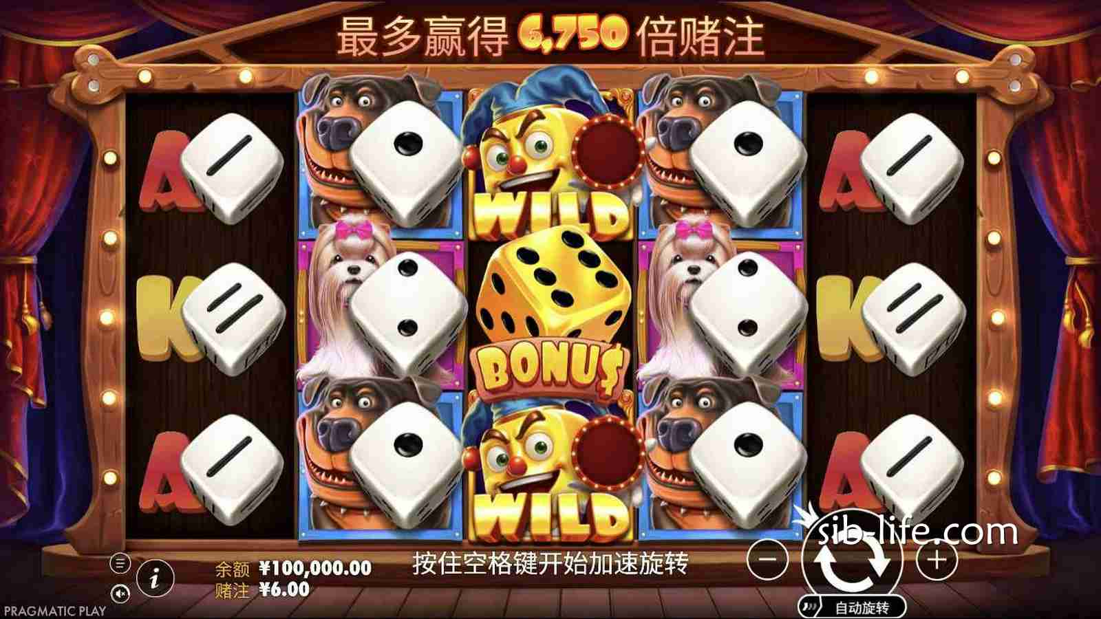 开云体育PP电子《汪汪之家骰子秀》怎么玩？免费旋转和Wild规则