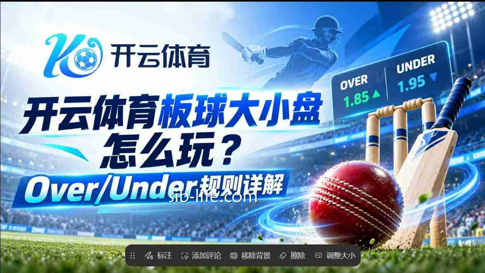 开云体育板球大小盘怎么玩？Over/Under规则详解